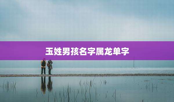 玉姓男孩名字属龙单字