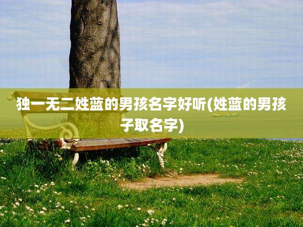 独一无二姓蓝的男孩名字好听(姓蓝的男孩子取名字)