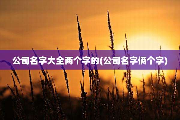 公司名字大全两个字的(公司名字俩个字)