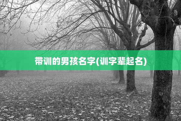 带训的男孩名字(训字辈起名)