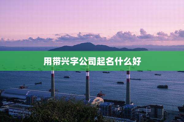用带兴字公司起名什么好