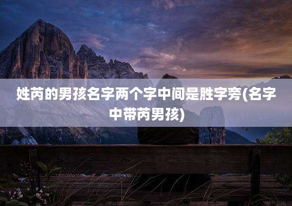 姓芮的男孩名字两个字中间是胜字旁(名字中带芮男孩)
