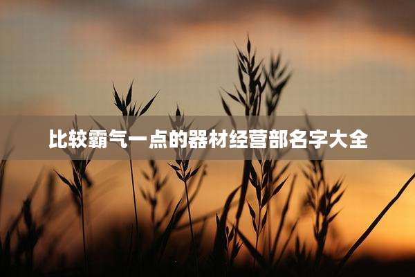 比较霸气一点的器材经营部名字大全