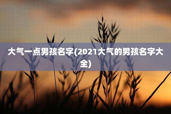 大气一点男孩名字(2021大气的男孩名字大全)