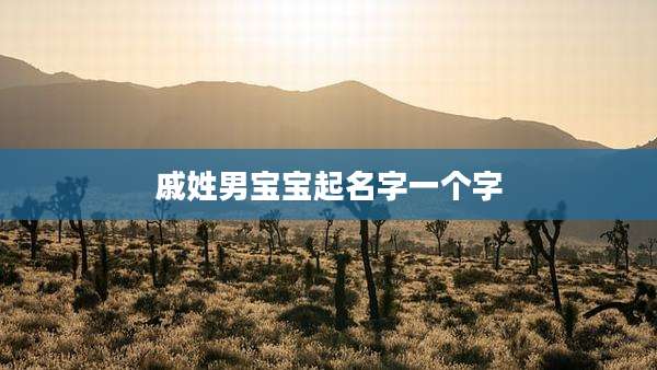 戚姓男宝宝起名字一个字
