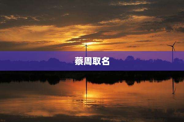 蔡周取名