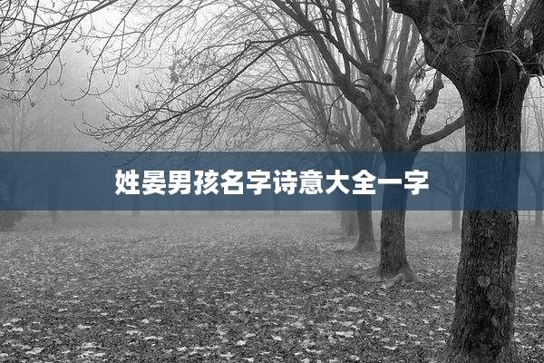 姓晏男孩名字诗意大全一字