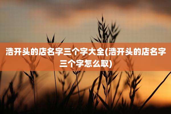 浩开头的店名字三个字大全(浩开头的店名字三个字怎么取)