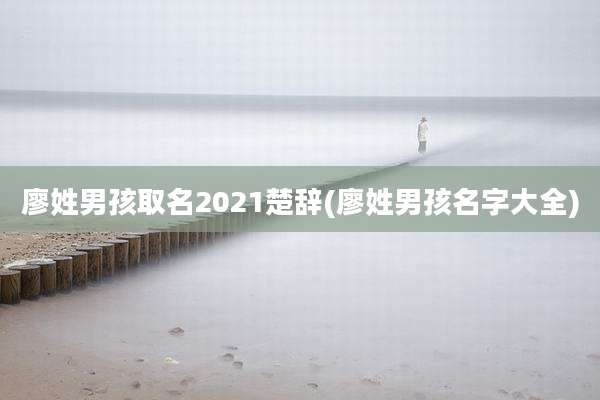 廖姓男孩取名2021楚辞(廖姓男孩名字大全)