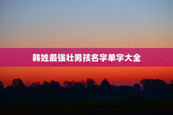 韩姓最强壮男孩名字单字大全