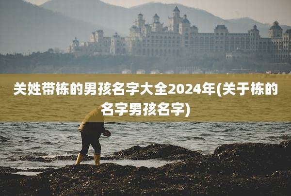 关姓带栋的男孩名字大全2024年(关于栋的名字男孩名字)