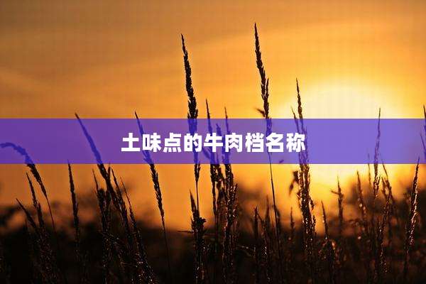 土味点的牛肉档名称