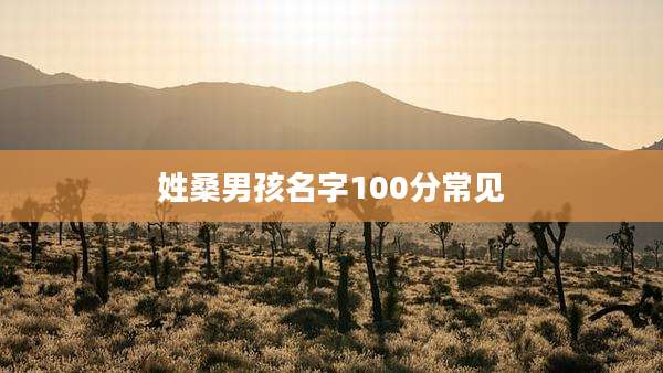 姓桑男孩名字100分常见