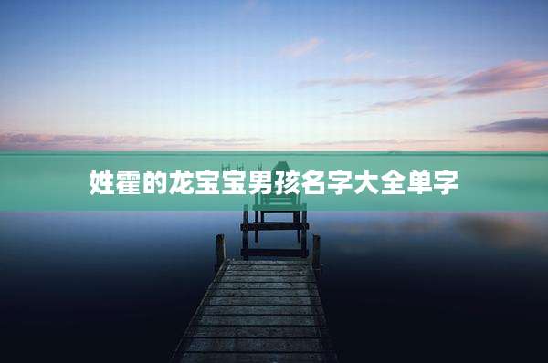 姓霍的龙宝宝男孩名字大全单字
