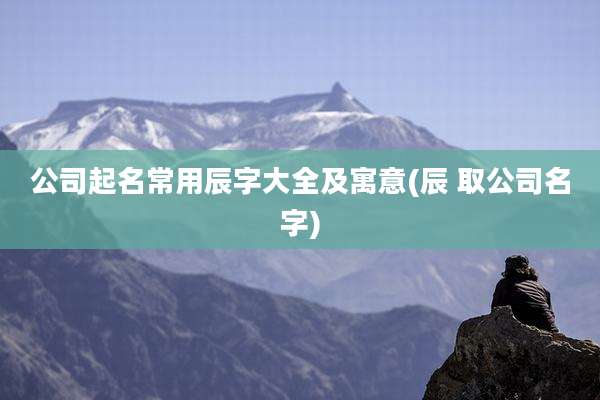公司起名常用辰字大全及寓意(辰 取公司名字)