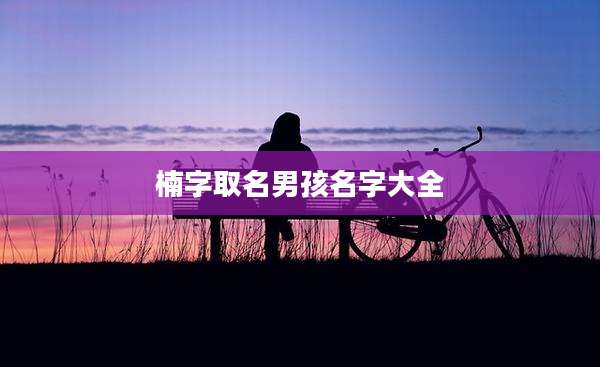 楠字取名男孩名字大全