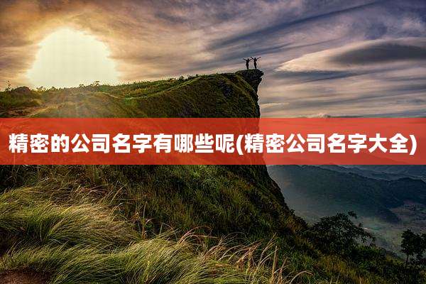 精密的公司名字有哪些呢(精密公司名字大全)
