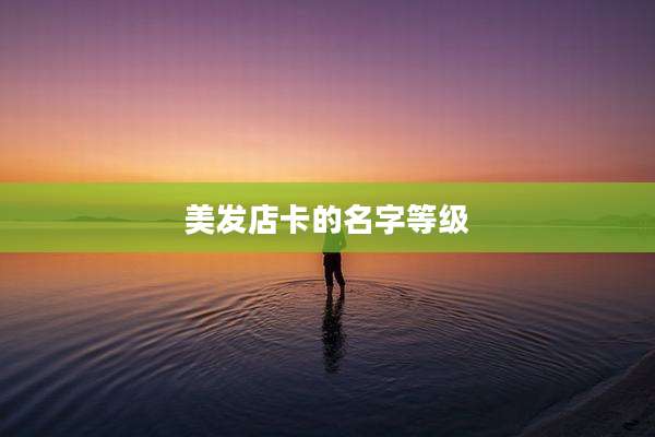 美发店卡的名字等级