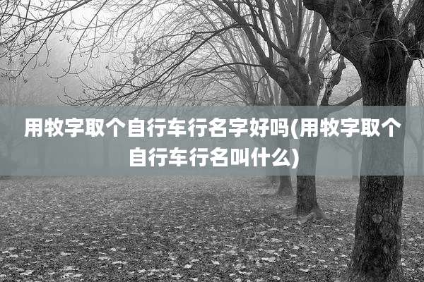 用牧字取个自行车行名字好吗(用牧字取个自行车行名叫什么)