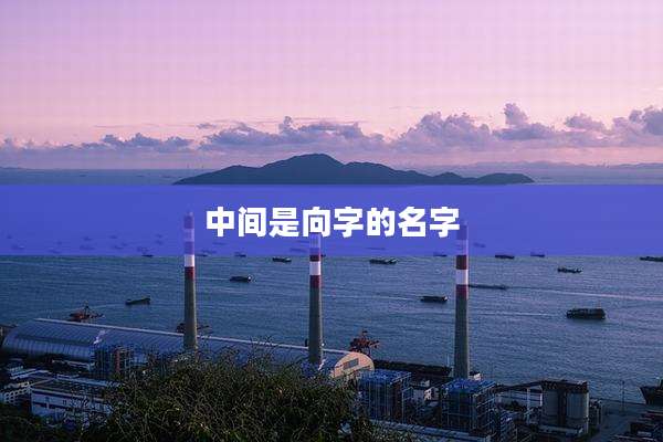 中间是向字的名字