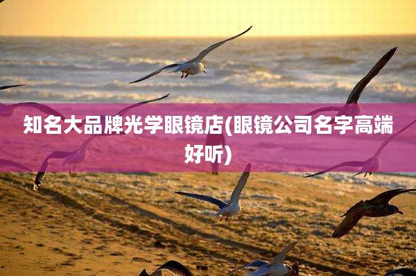 知名大品牌光学眼镜店(眼镜公司名字高端好听)