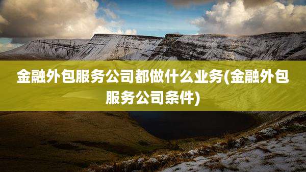 金融外包服务公司都做什么业务(金融外包服务公司条件)