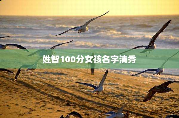 姓智100分女孩名字清秀