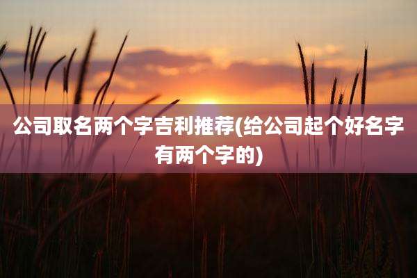 公司取名两个字吉利推荐(给公司起个好名字有两个字的)