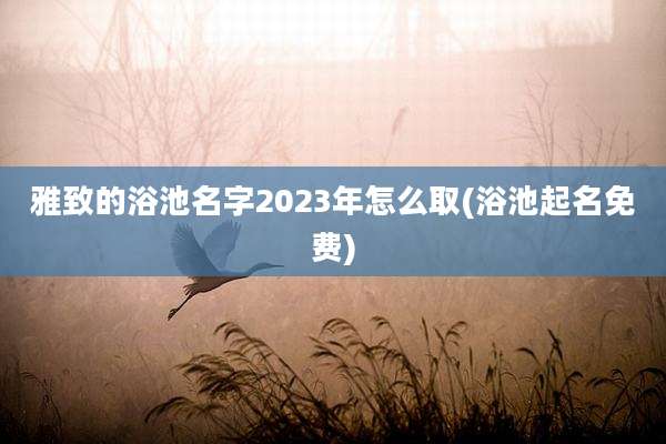 雅致的浴池名字2023年怎么取(浴池起名免费)