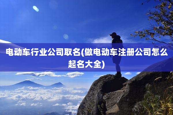电动车行业公司取名(做电动车注册公司怎么起名大全)