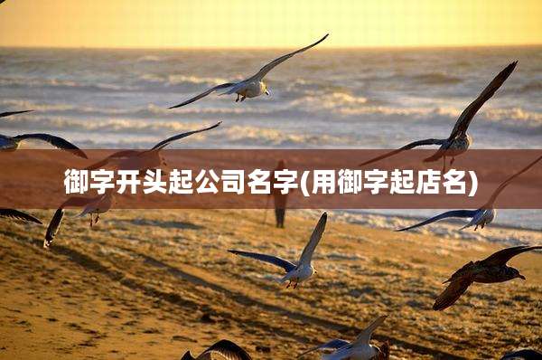 御字开头起公司名字(用御字起店名)