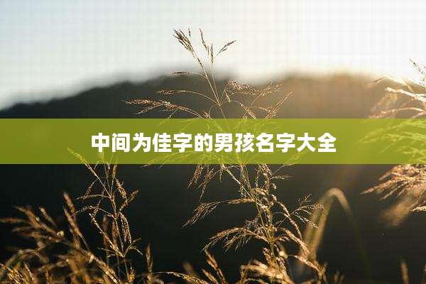 中间为佳字的男孩名字大全