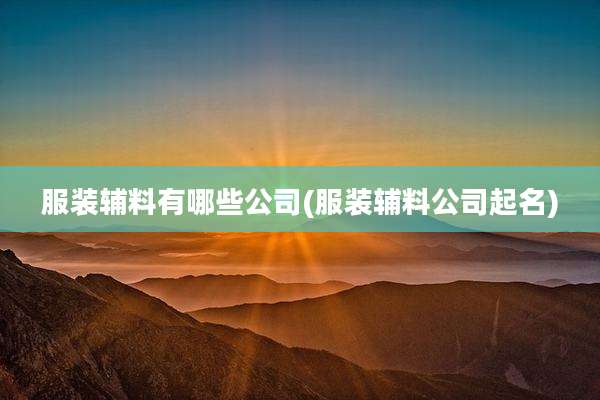 服装辅料有哪些公司(服装辅料公司起名)