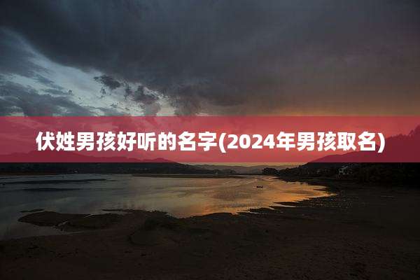 伏姓男孩好听的名字(2024年男孩取名)