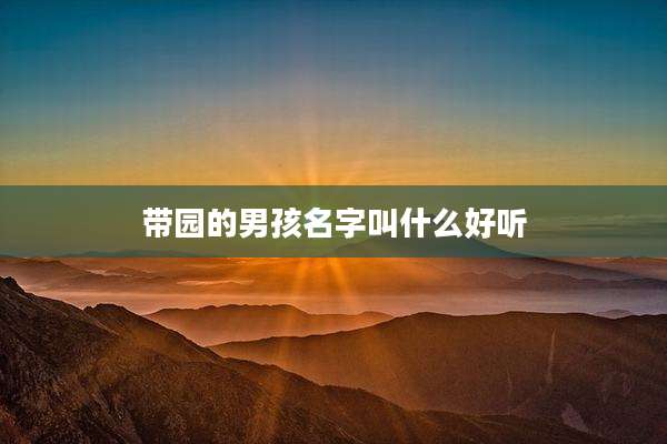 带园的男孩名字叫什么好听