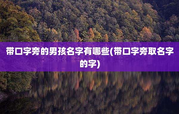 带口字旁的男孩名字有哪些(带口字旁取名字的字)