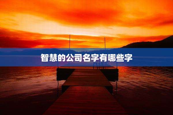 智慧的公司名字有哪些字