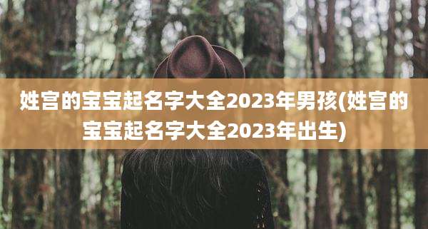 姓宫的宝宝起名字大全2023年男孩(姓宫的宝宝起名字大全2023年出生)