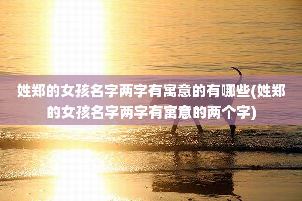 姓郑的女孩名字两字有寓意的有哪些(姓郑的女孩名字两字有寓意的两个字)