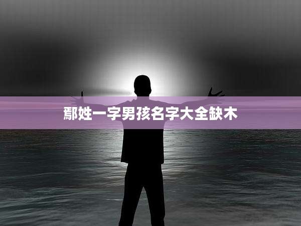 鄢姓一字男孩名字大全缺木