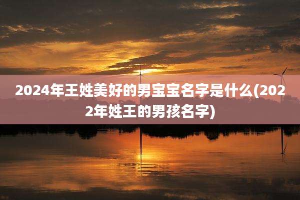 2024年王姓美好的男宝宝名字是什么(2022年姓王的男孩名字)