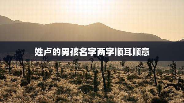 姓卢的男孩名字两字顺耳顺意