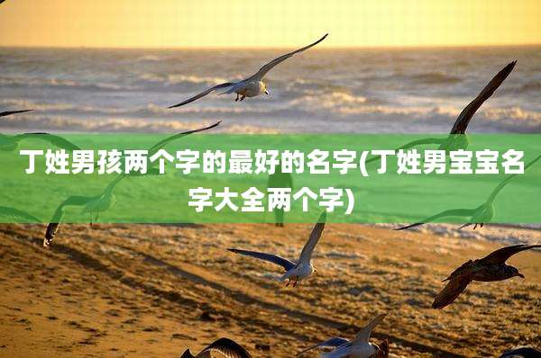 丁姓男孩两个字的最好的名字(丁姓男宝宝名字大全两个字)