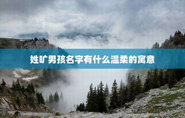 姓旷男孩名字有什么温柔的寓意