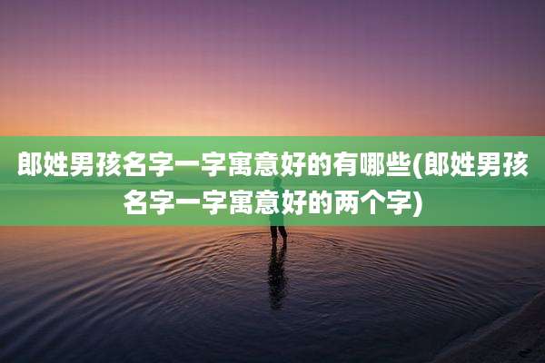 郎姓男孩名字一字寓意好的有哪些(郎姓男孩名字一字寓意好的两个字)