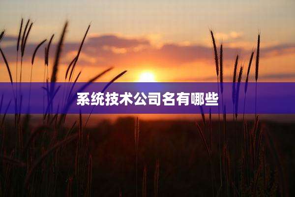 系统技术公司名有哪些