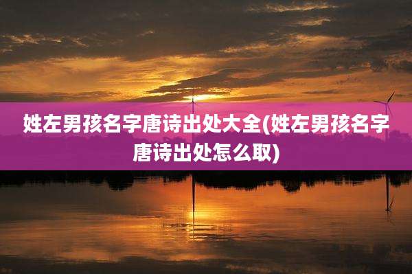 姓左男孩名字唐诗出处大全(姓左男孩名字唐诗出处怎么取)