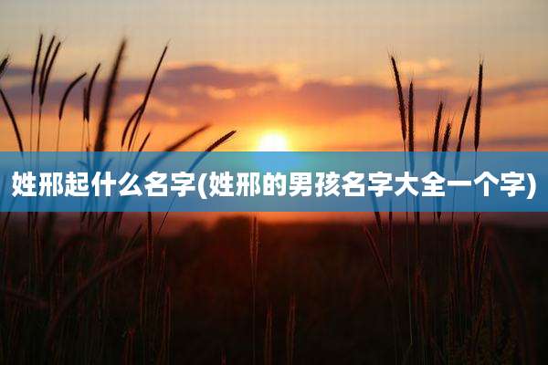 姓邢起什么名字(姓邢的男孩名字大全一个字)
