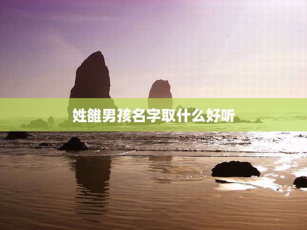 姓雒男孩名字取什么好听