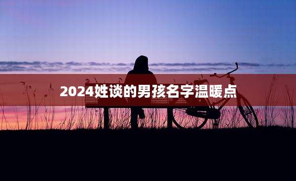 2024姓谈的男孩名字温暖点